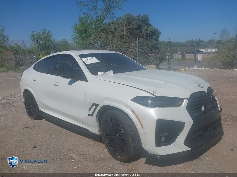 2025 BMW X6 M   – Lot 45125522 auction photo