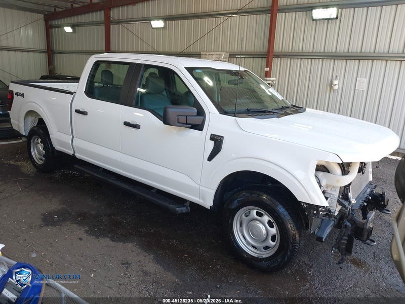 2024 FORD F-150 XL – Lot 45126235 auction photo