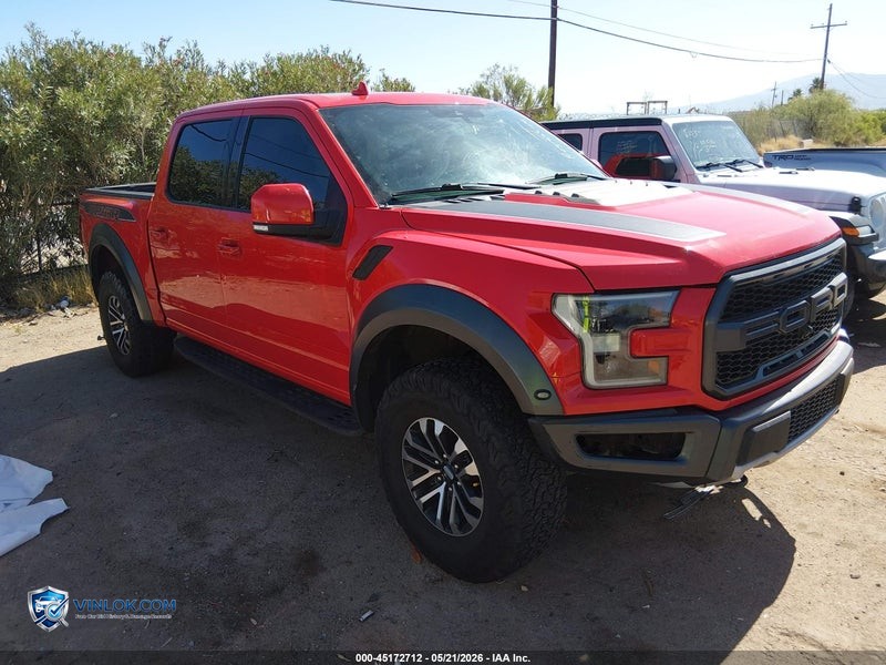 2019 FORD F-150 RAPTOR – Lot 45172712 auction photo