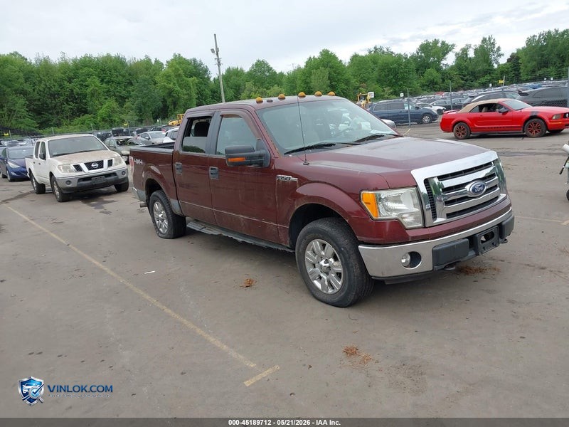 2010 FORD F-150 FX4/HARLEY-DAVIDSON/KING RANCH/LARIAT/PLATINUM/XL/XLT – Lot 45189712 auction photo