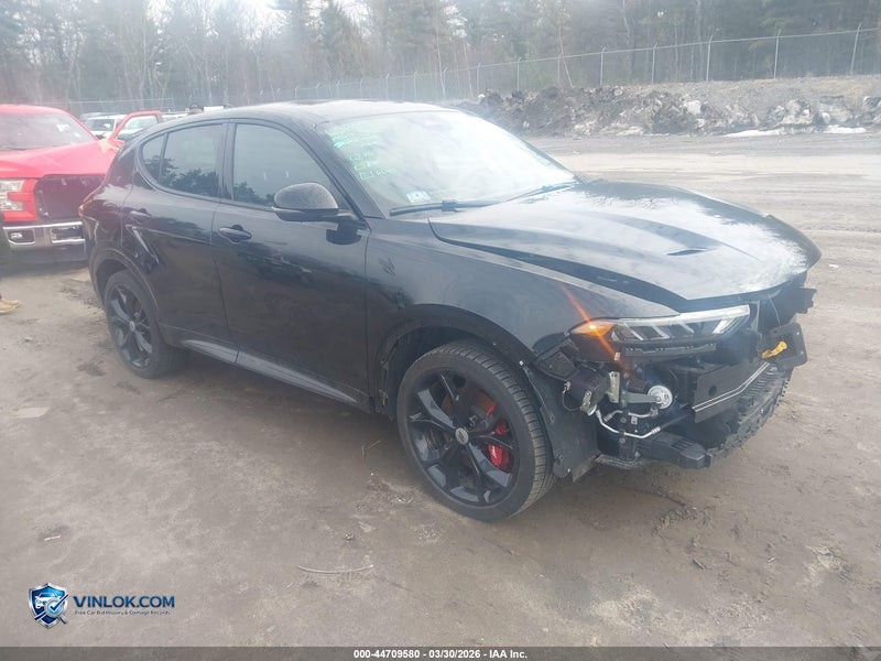2024 DODGE HORNET – Lot 44709580 auction photo
