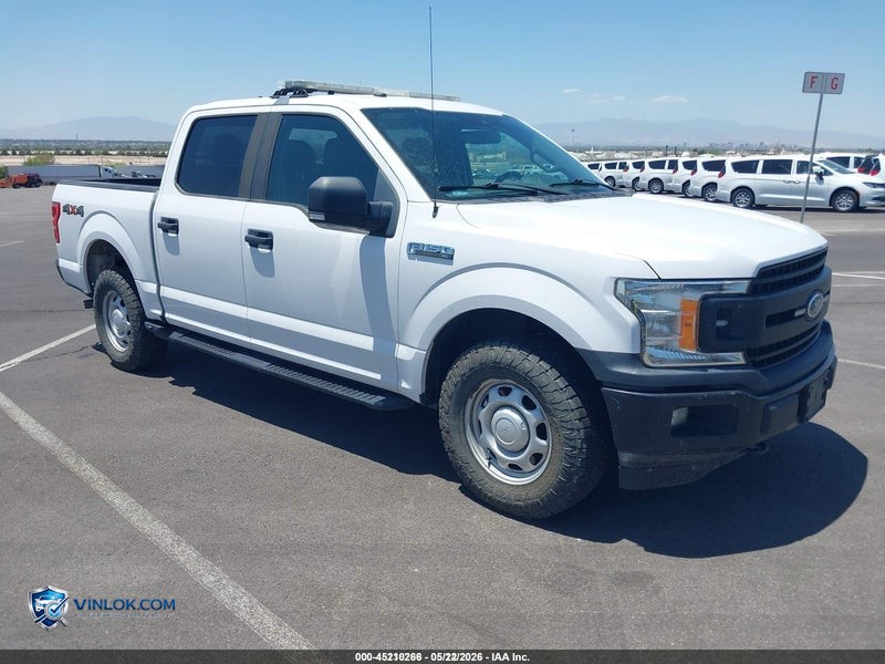 2019 FORD F-150 XL – Lot 45210266 auction photo