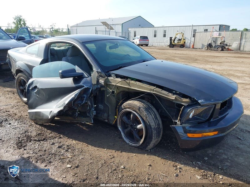 2009 FORD MUSTANG V6/V6 PREMIUM – Lot 45233600 auction photo