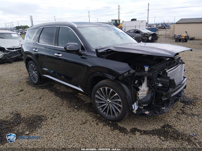 2023 HYUNDAI PALISADE CALLIGRAPHY – Lot 45246692 auction photo