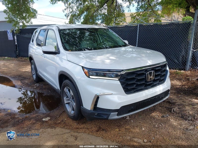 2025 HONDA PILOT EX-L – Lot 45256499 auction photo