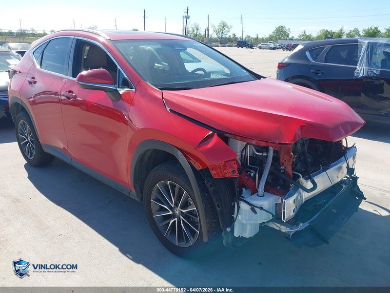 2024 LEXUS NX 350H – Lot 44770152 auction photo