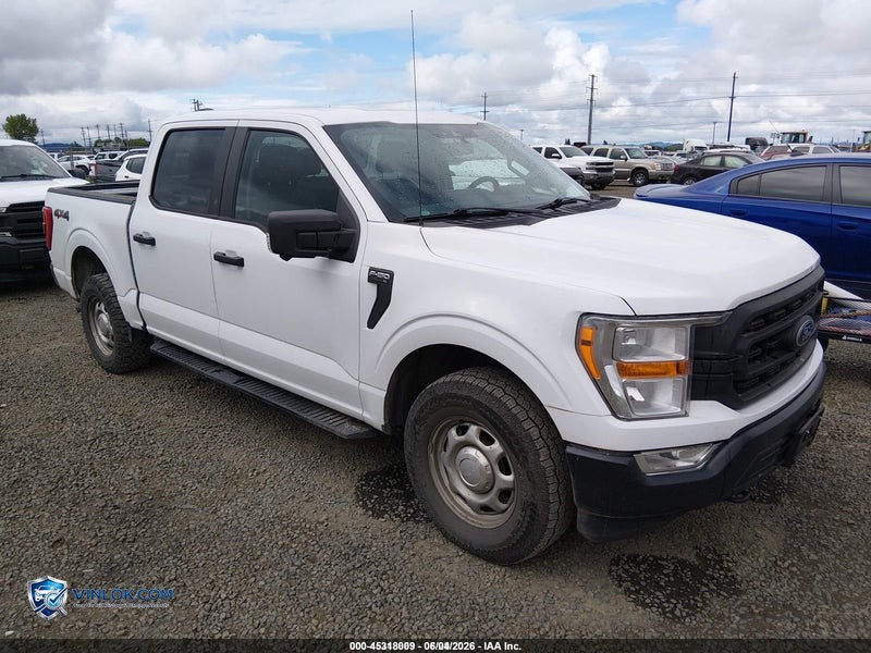 2021 FORD F-150 XL – Lot 45318009 auction photo