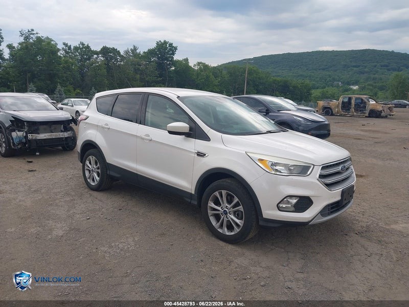 2017 FORD ESCAPE SE – Lot 45428793 auction photo