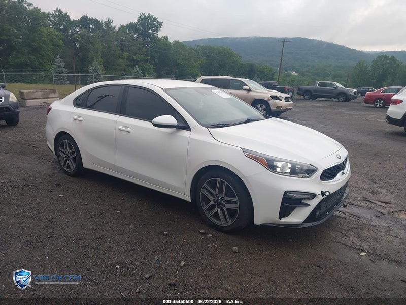 2019 KIA FORTE S – Lot 45450500 auction photo