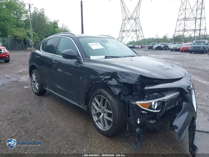 2019 ALFA ROMEO STELVIO – Lot 44975871 auction photo