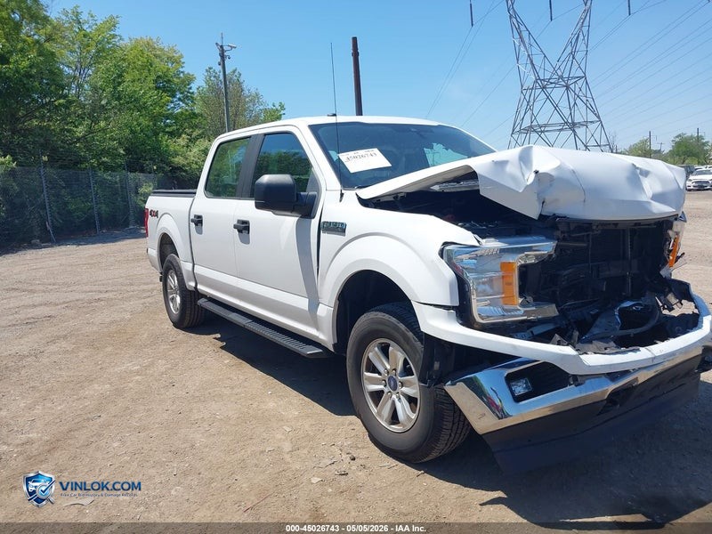 2019 FORD F-150 – Lot 45026743 auction photo
