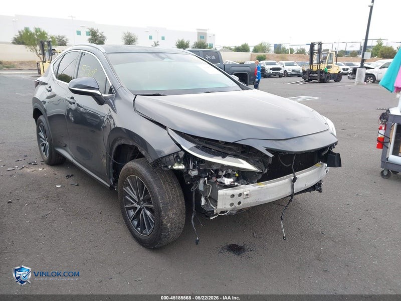 2024 LEXUS NX 350 – Lot 45185568 auction photo
