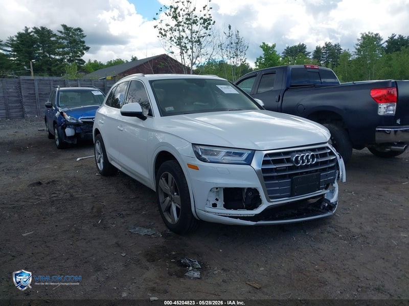 2019 AUDI Q5 – Lot 45204823 auction photo