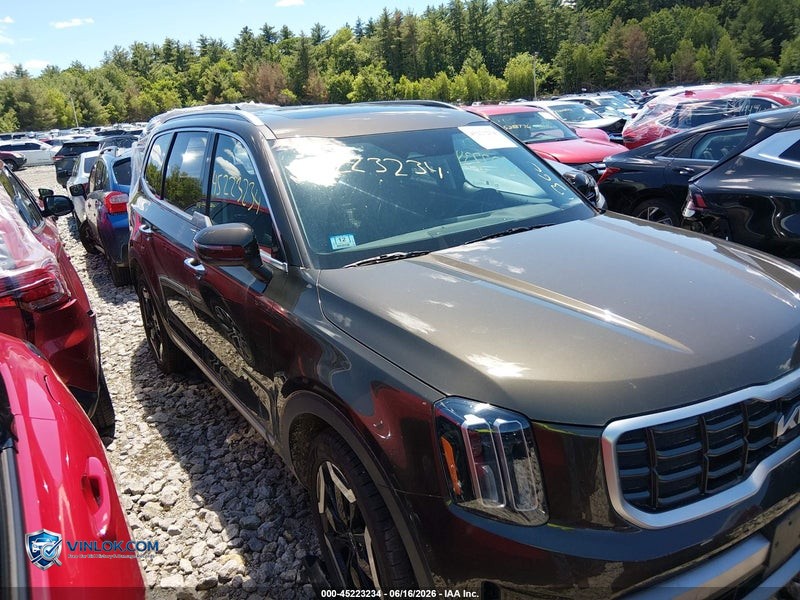 2023 KIA TELLURIDE – Lot 45223234 auction photo
