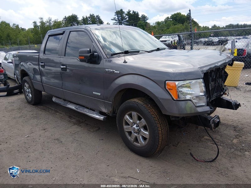2014 FORD F-150 – Lot 45336955 auction photo