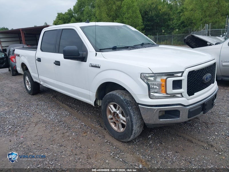 2020 FORD F-150 – Lot 45388509 auction photo