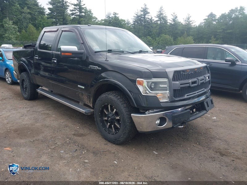 2014 FORD F-150 – Lot 45411203 auction photo